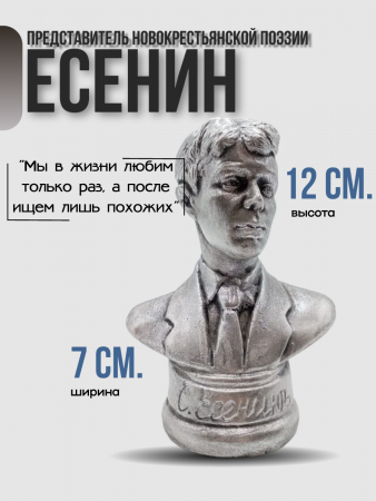 Бюст Есенин Сергей Александрович 102.39.3 серебро